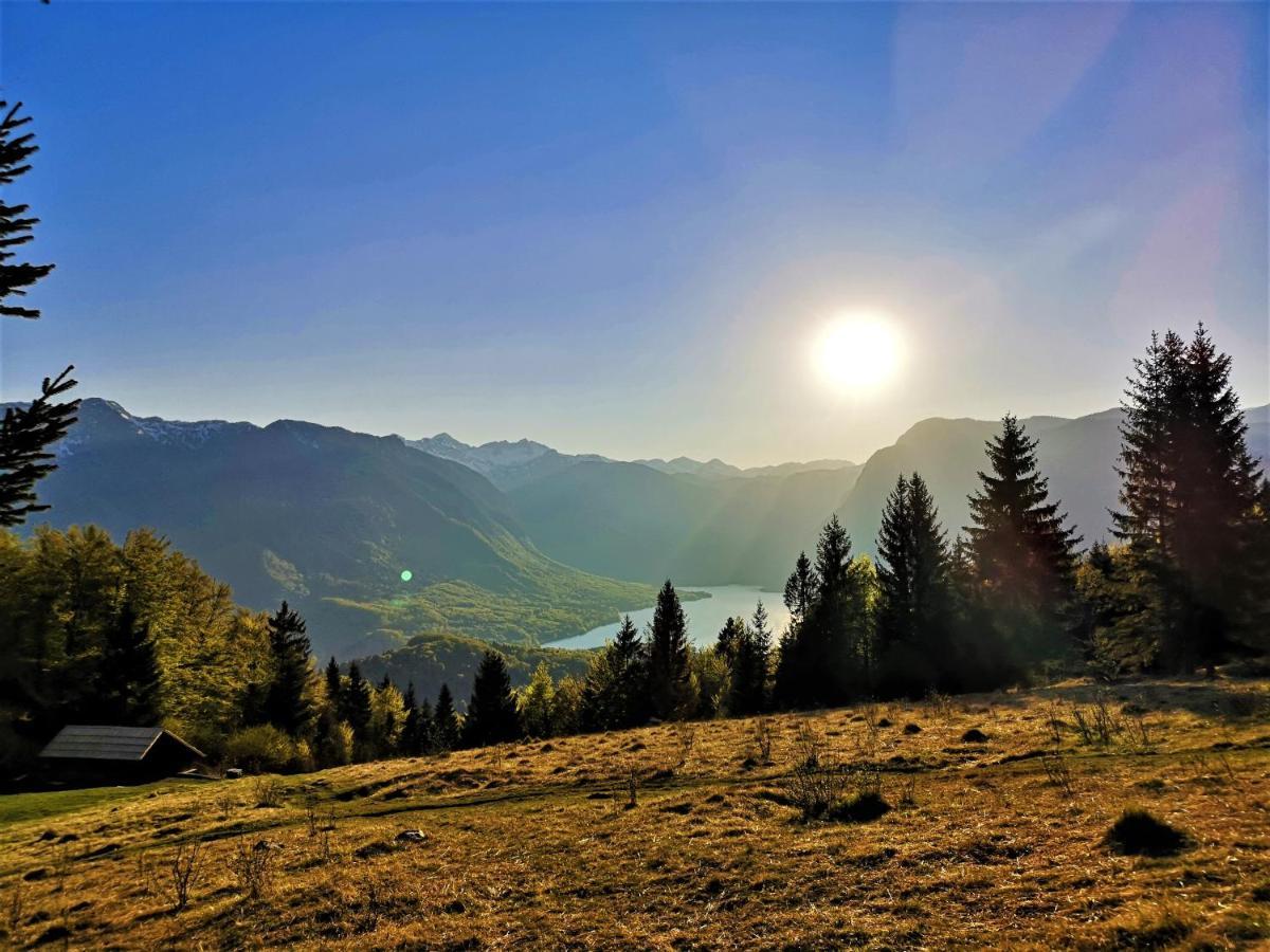 Chalet Ajda Bohinj Ngoại thất bức ảnh
